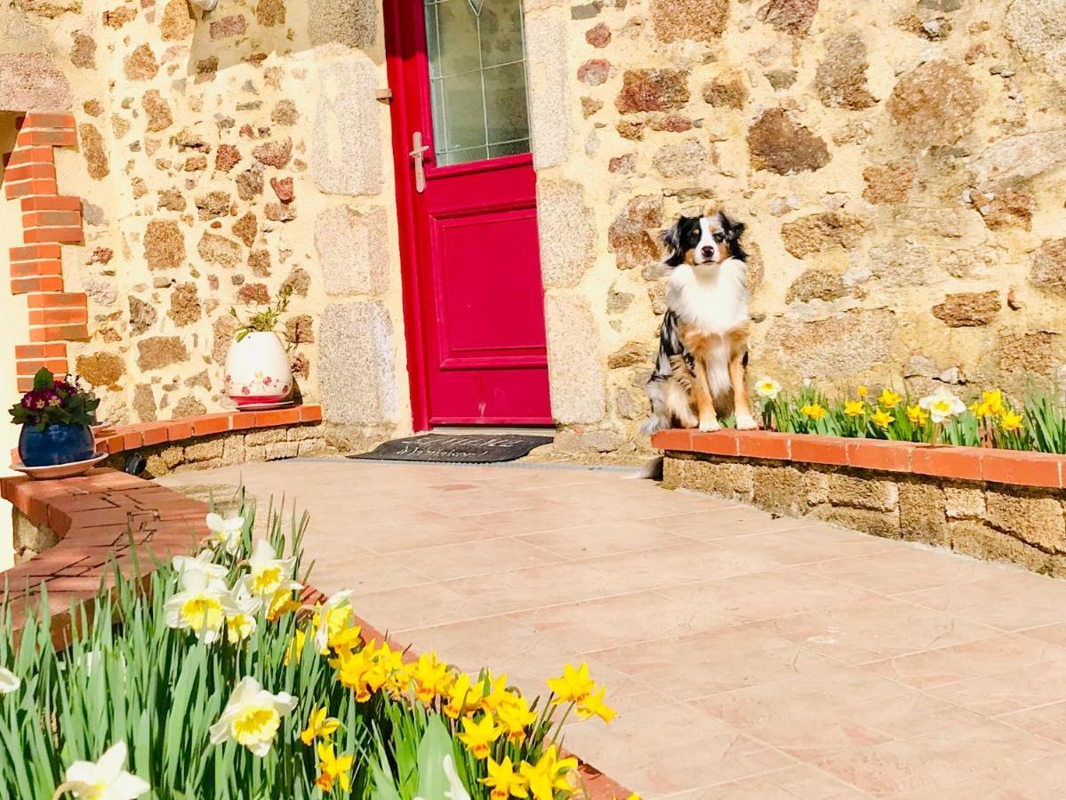 La Basse Monniere Bed and Breakfast Sevremont Exteriör bild